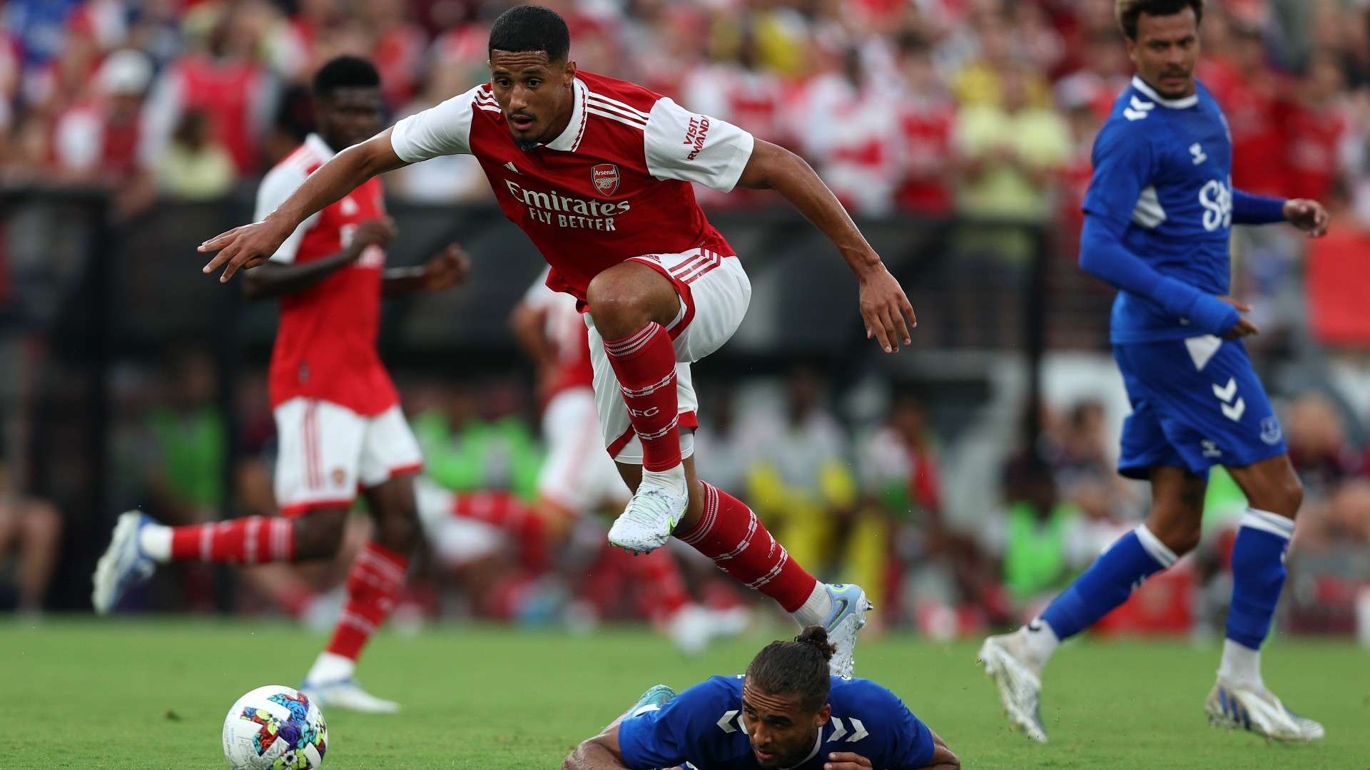 戴格諾特和 戴格諾特和